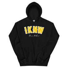 Load image into Gallery viewer, I.K.N.W. Retro Unisex Hoodie (Gold Color way)
