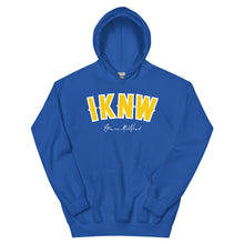 Load image into Gallery viewer, I.K.N.W. Retro Unisex Hoodie (Gold Color way)
