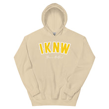 Load image into Gallery viewer, I.K.N.W. Retro Unisex Hoodie (Gold Color way)
